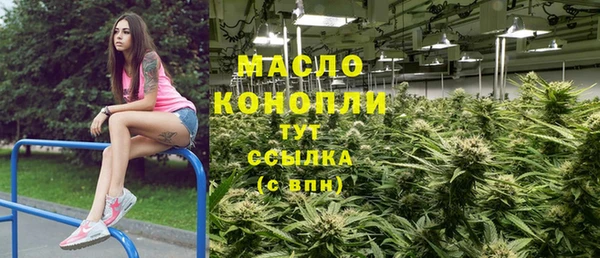 индика Нефтекумск