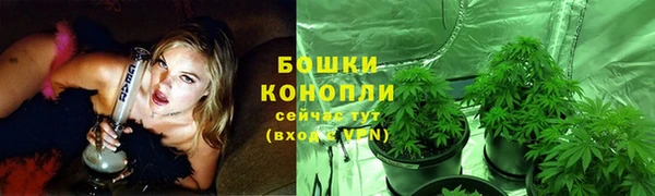индика Нефтекумск