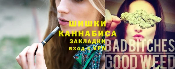 индика Нефтекумск