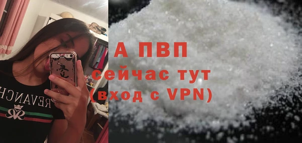 индика Нефтекумск