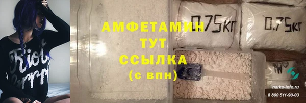 индика Нефтекумск