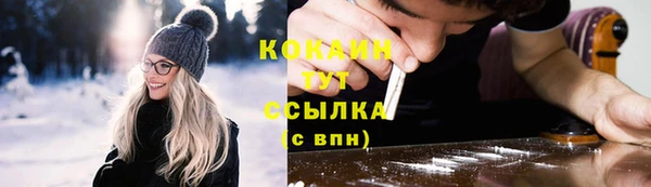 индика Нефтекумск