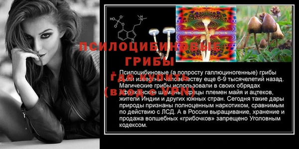 индика Нефтекумск