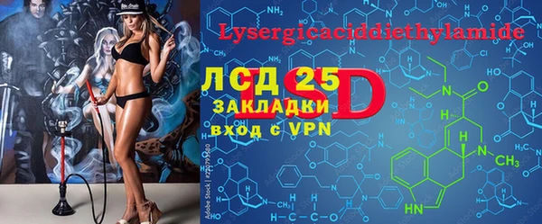 стаф Нея