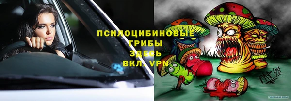индика Нефтекумск