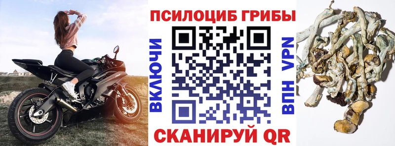 Псилоцибиновые грибы GOLDEN TEACHER  Тотьма 